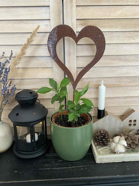 Hrdzavý zápich - srdce, 