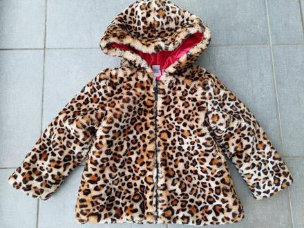 Leopard bundička, 104