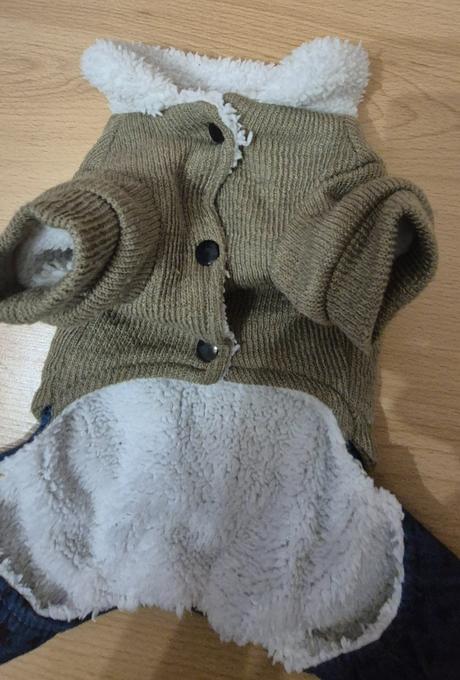 Oblečenie pre psika, 