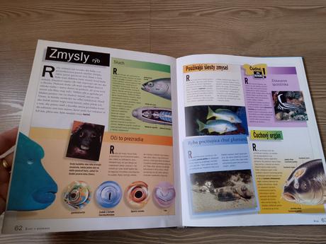 Encyklopédia školáka - život v oceánoch, 
