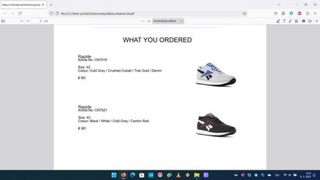 Reebok classic rapide, reebok classic nylon, reebok,42