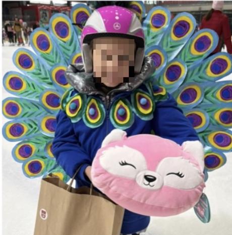 Karnevalova maska-pav, 