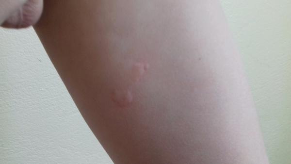 Výsev, krorý sa niekoľkokrát za deň objaví zmizne a zase sa objaví