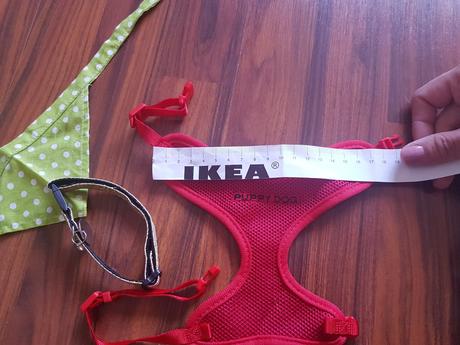 Vecičky pre psíka,