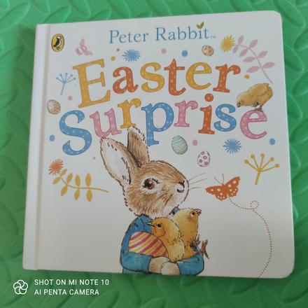 Easter surprise pevná väzba,