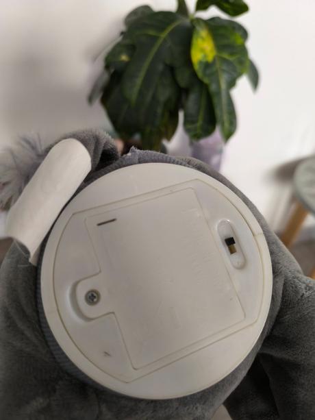 Sloník spieva, hovorí po anglicky a hýbe ušami, 