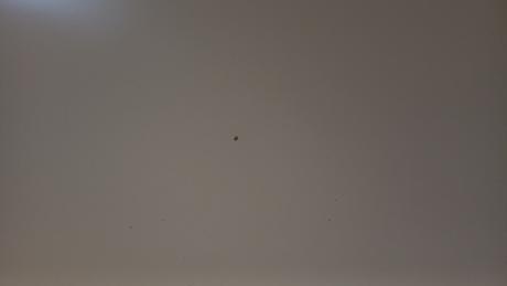 Flisat stôl, nastaviteľný, 