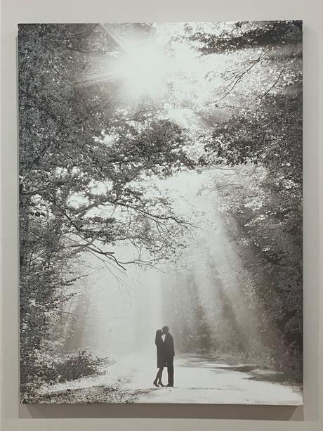 Obraz next trblietavý na slnku, 