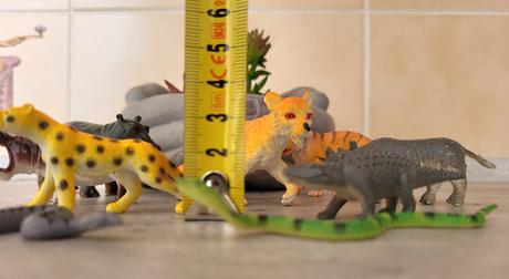 Safari - menšia a stredná veľkosť, 