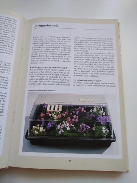 Kniha izbové rastliny, 