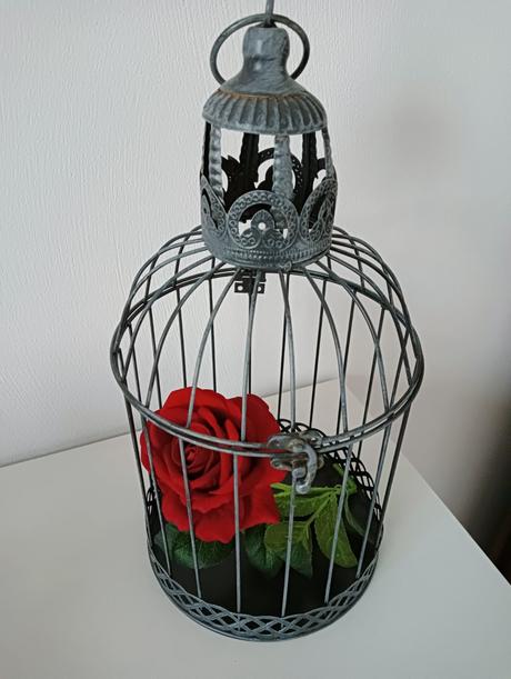 Dekorácie vtáčie klietky, 