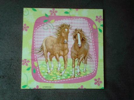 Sada 2 obrázkov kone a kvietky, 