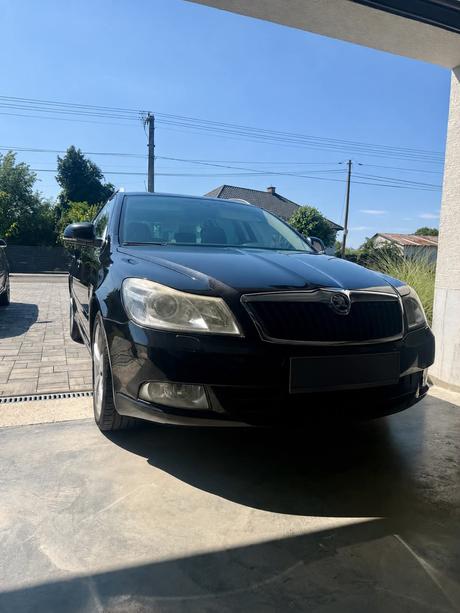 Skoda, škoda