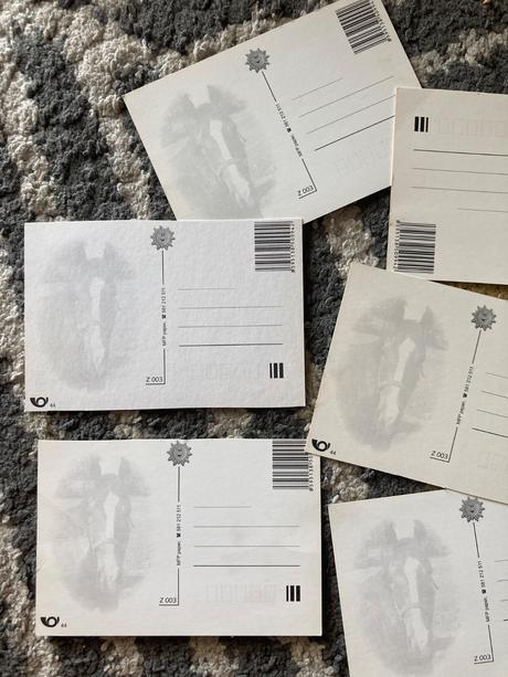 Pohľadnice koní nepopísané 6ks,