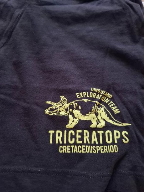 Pyžamo s dinosaurami, reserved,110