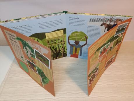 Libby walden forests in focus nau20,