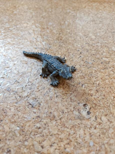 Plastove zvierata a dinosaury, 