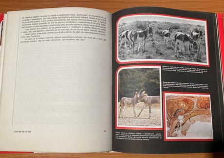 Predám knihu zvieratá nie sú také, 