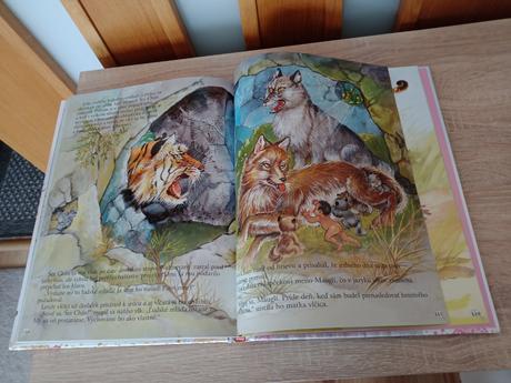 Kniha rozprávky o vilach, 