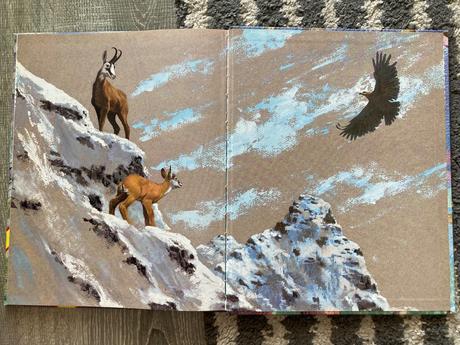 Zvieratá európy-prvé vyd.1997, 