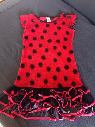 Kostym na karneval lienka, 