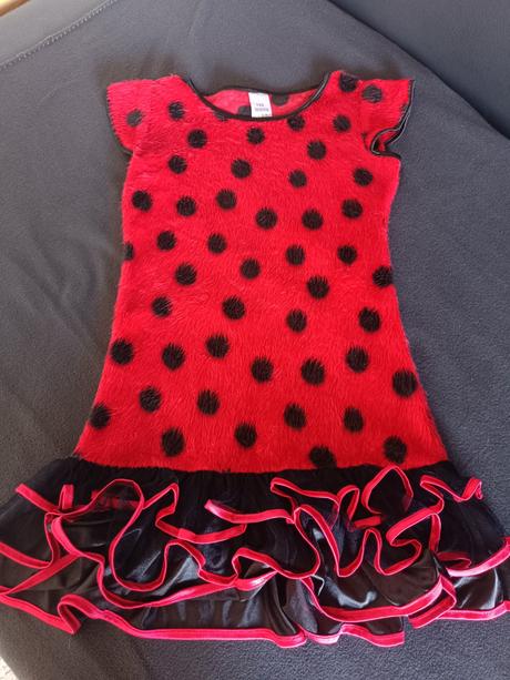 Kostym na karneval lienka, 