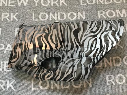 Bunda pre stredneho psa, 