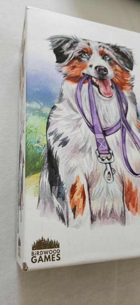 Spoločenská hra psí park, 