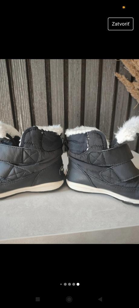 Snehule sorel, sorel,28