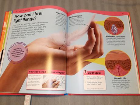 Why si blood red   sp22, 