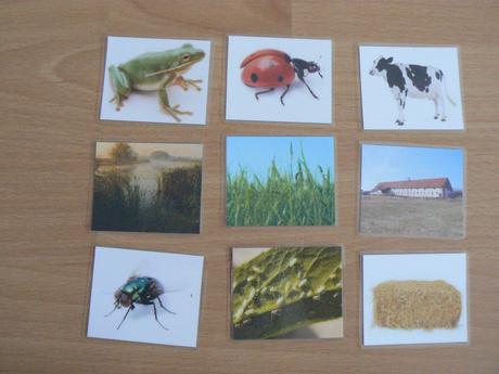 Priraďovačka zvieratko-domček-potrava, 