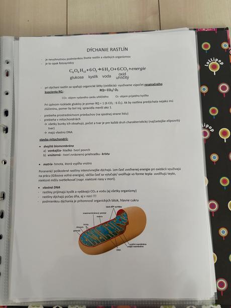Biológia- maturitné otázky na komplet, 