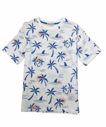 Chlapčenské tričko s potlačou, 116 - 164