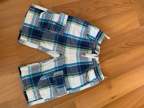 Kratasy, palomino,104