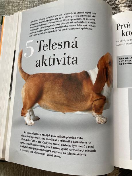 Všetko o psoch - don harper (1999),