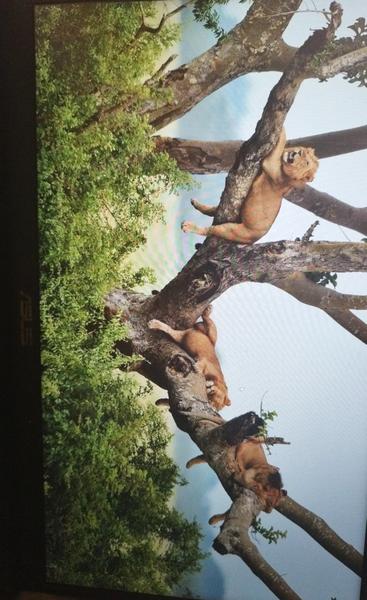 Čo mám s počítačom?