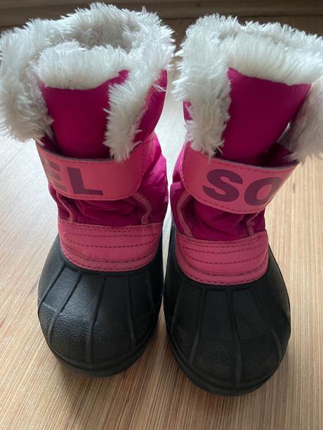 Zimné snehulky, sorel,26