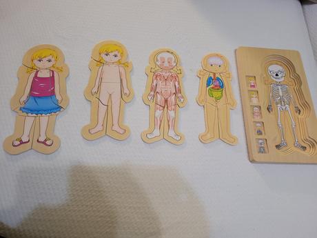 Drevené puzzle - anatómia dievča, 