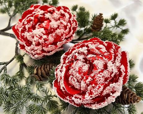 Zimná pivonka s kúzlom snehu a mrazu, 