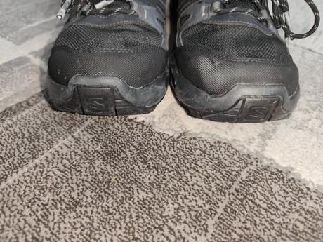 Salomon topanky goratex, salomon,42