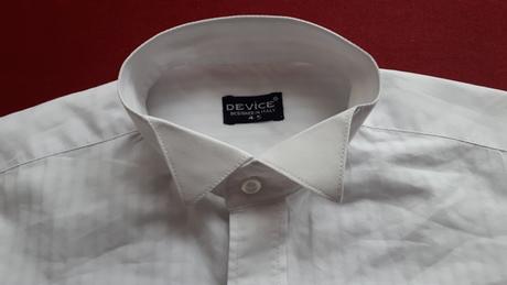 Biela spolocenska kosela, 104