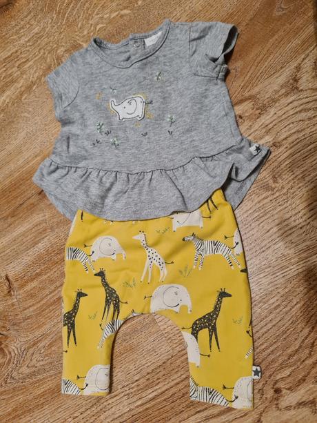 Next safari set, next,56