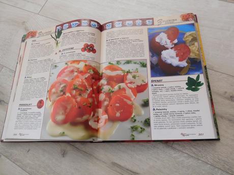 Ottova veľká hrnčeková kuchárka, 