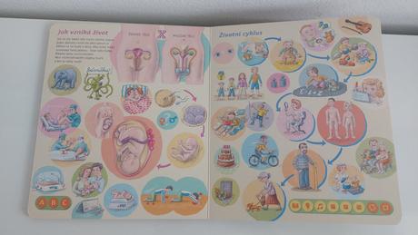 Albi kouzelné čtení lidské tělo, 