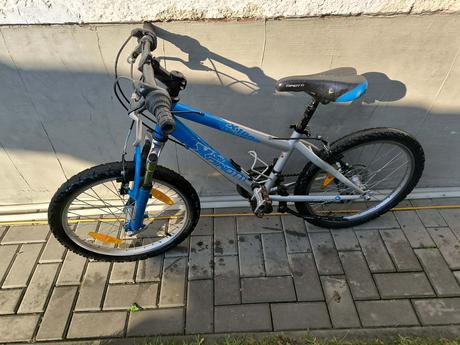 Bicykel dinoti, 20
