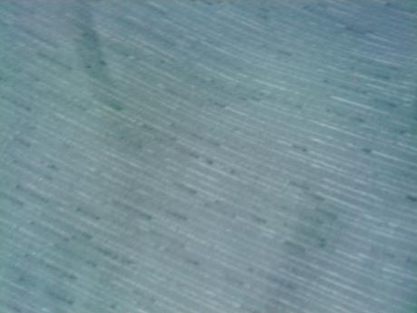 Top + 3/4 kraťasy, 44