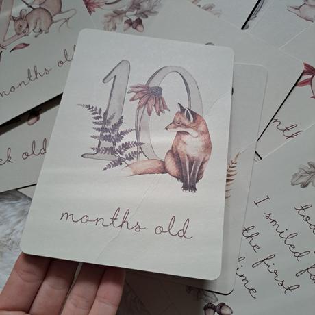 Míľnikové kartičky newbie les, 