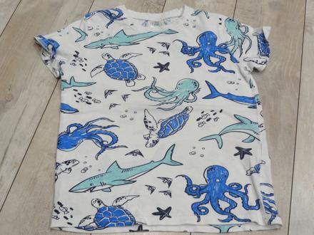 Morské tričko, 104