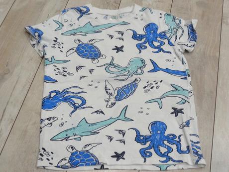 Morské tričko, 104