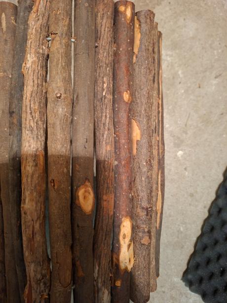 Dreveny velky tunel,